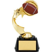 Fantasy Football Trophies at Unbeatable Prices _ Dinn Trophy